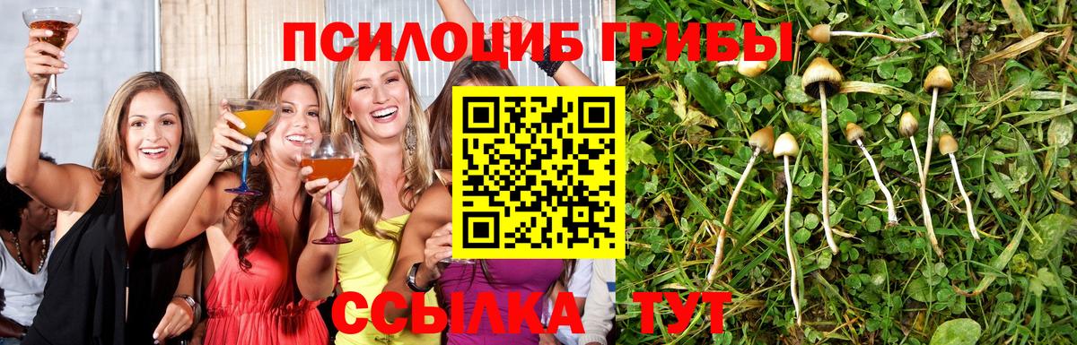 Вышний Волочёк  Псилоцибиновые грибы мухоморы  Галлюциногенные грибы Cubensis  Вход с VPN 