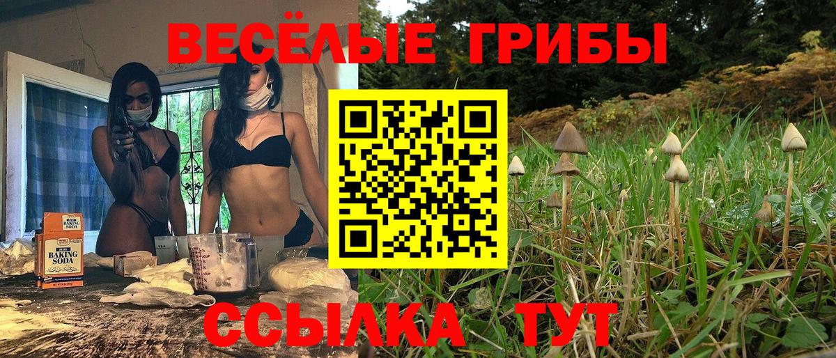 Псилоцибиновые грибы мицелий Вышний Волочёк